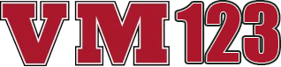 vm123.net Logo